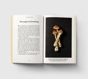 Psychedelics, A Pocket Primer