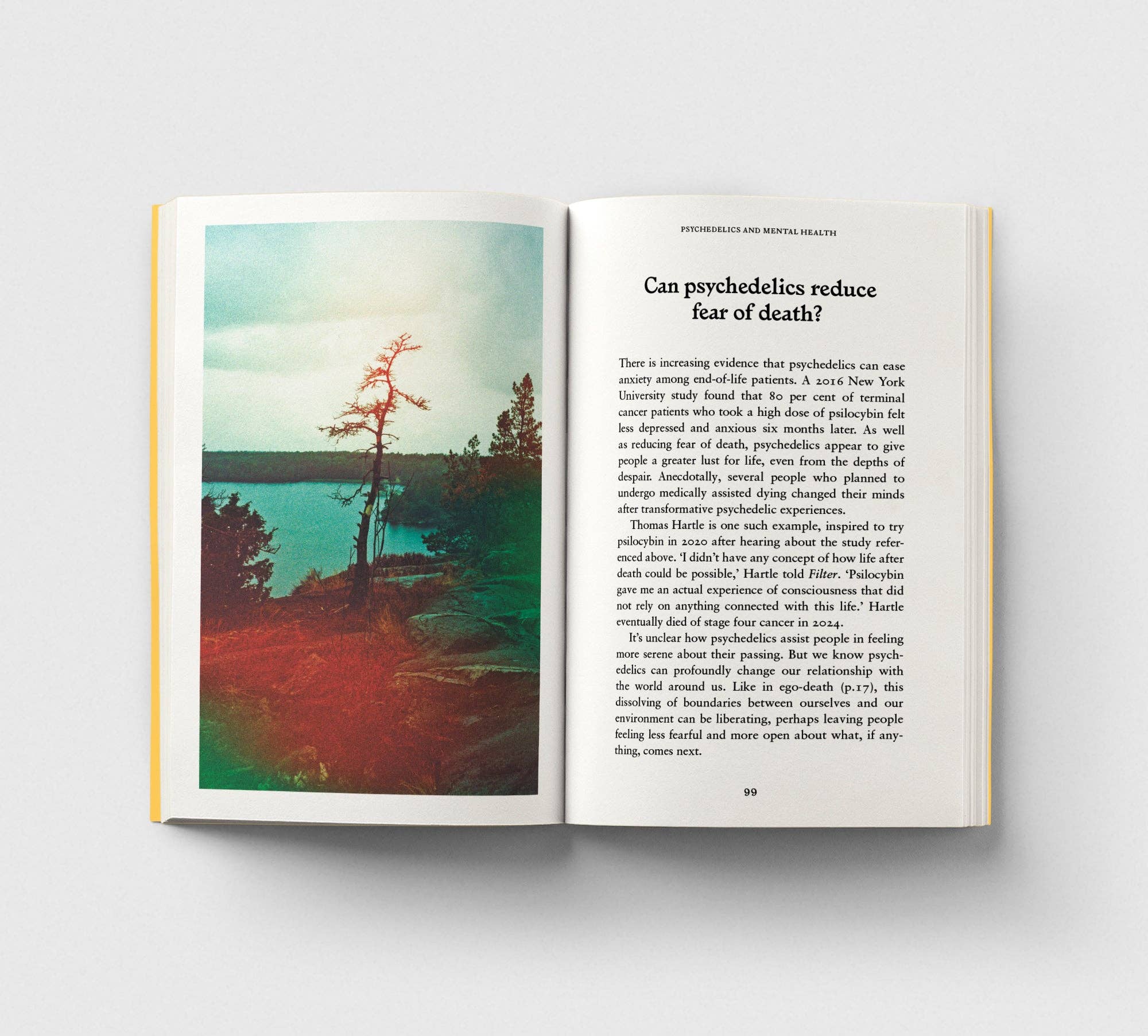 Psychedelics, A Pocket Primer