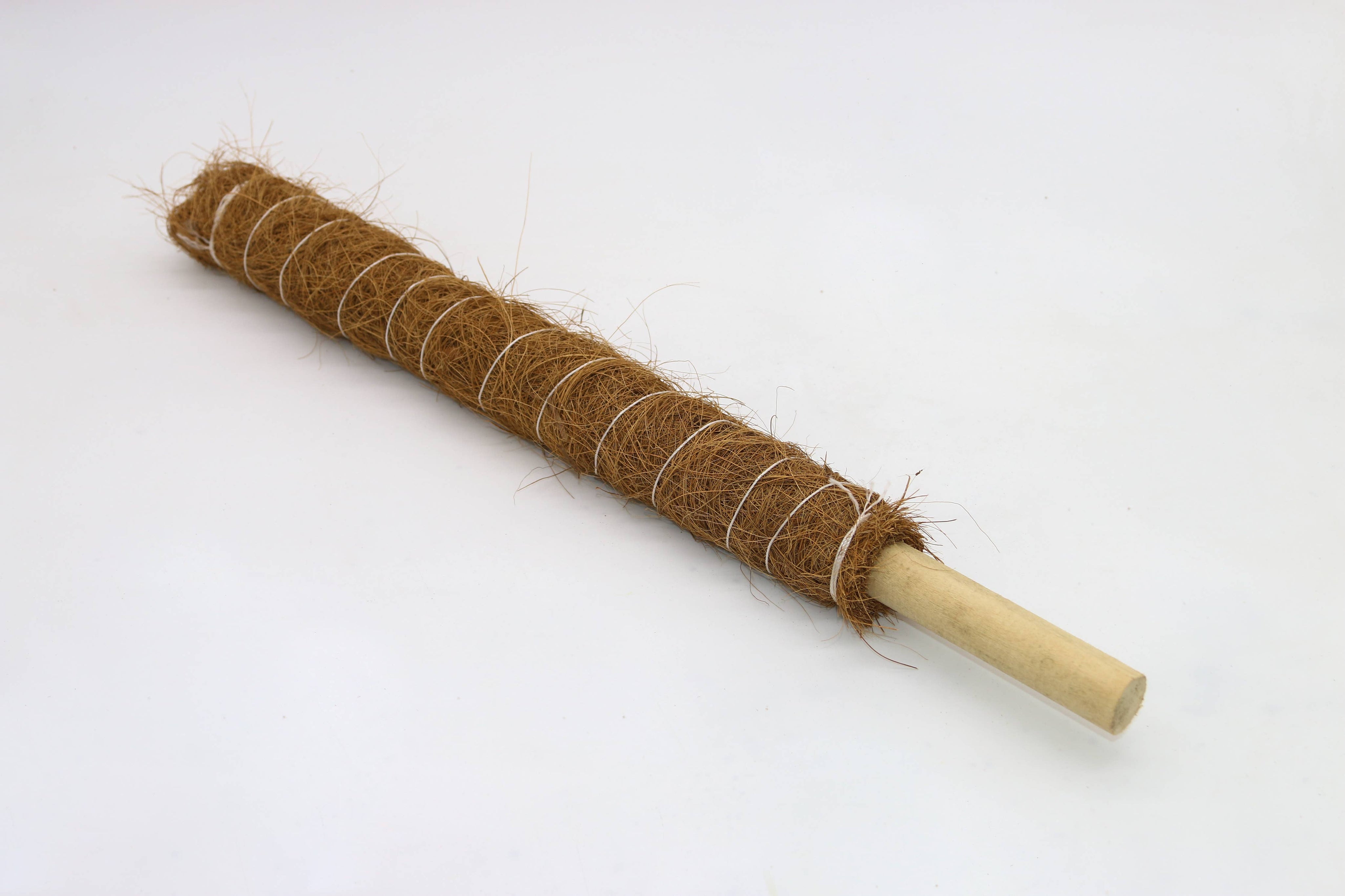 Support Pole for Plants |  Growpoles | Monstera poles