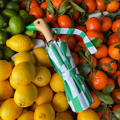Kelly Bars Compact Eco-Friendly Unisex Umbrella