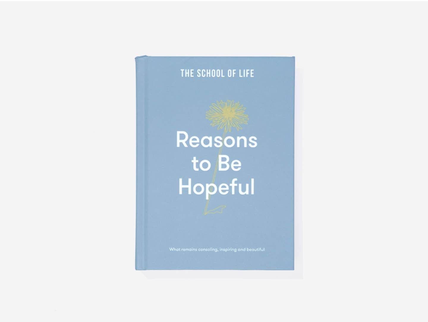 Reasons to be Hopeful, Unique gift