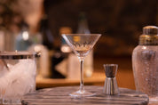 A Pair of Crystal Martini Glasses | Lens Design
