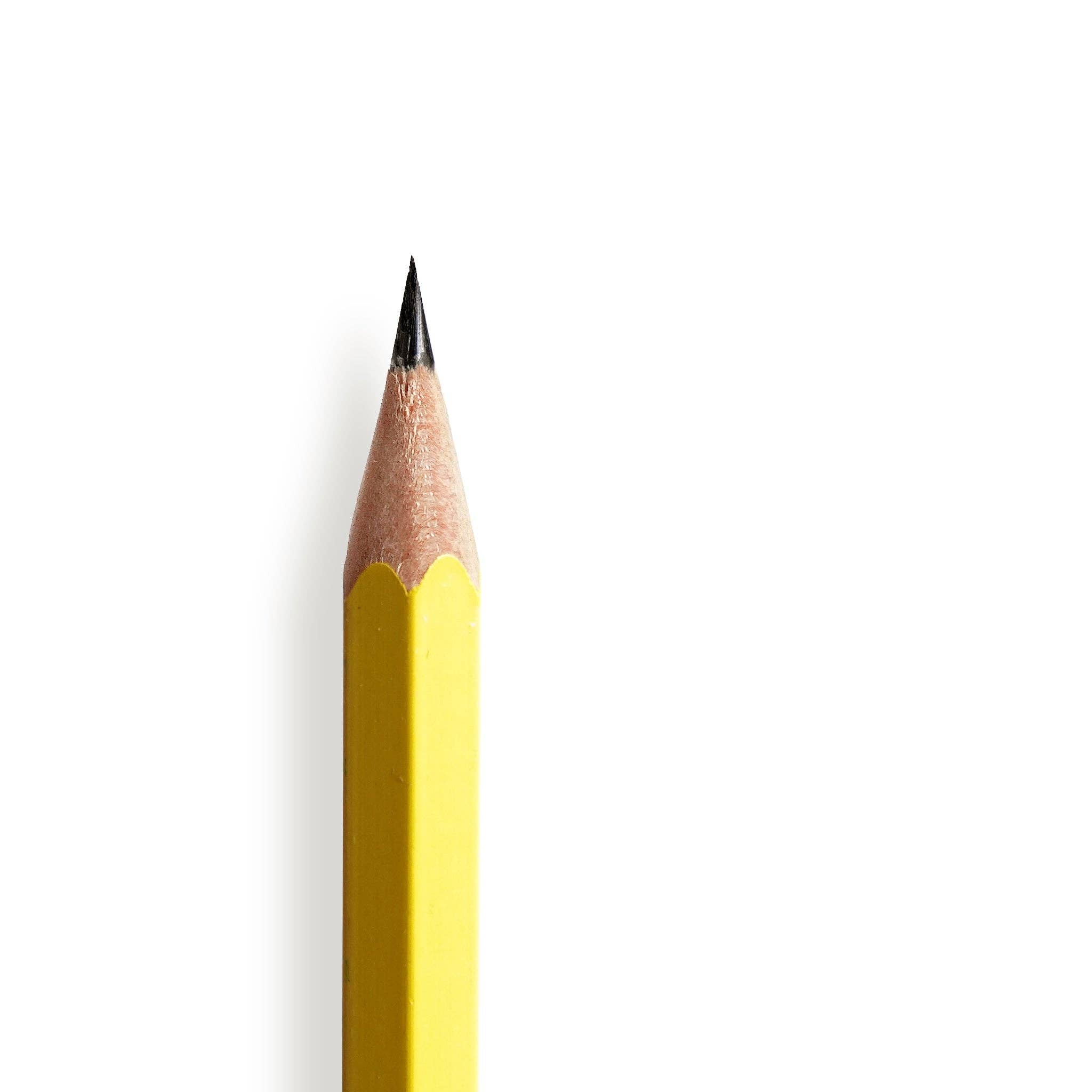 The Odd Goose Pencil | Handmade Giftable Retro Style Box