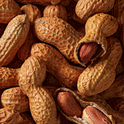 Nan's Stash | 70% Dark Chocolate Bar