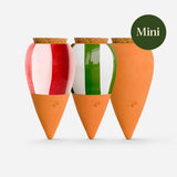 Box Trio Mini Ollas | The Striped