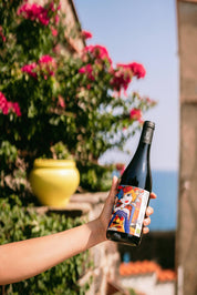 Biodynamic Red Wine | Pinot Noir Scene No. 2 2025 (Abv 13.5%)