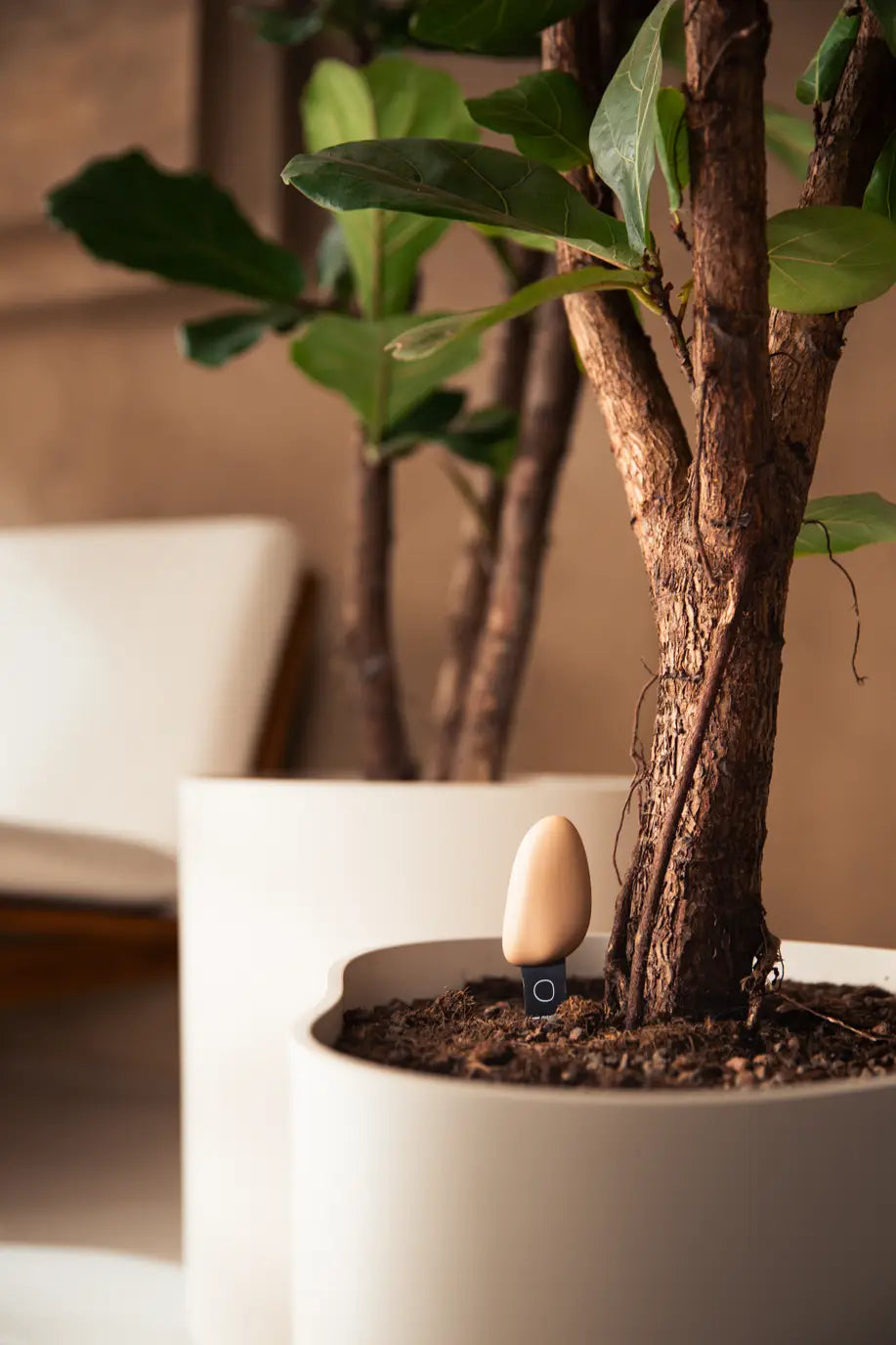 Smart Pebble | Plant Care