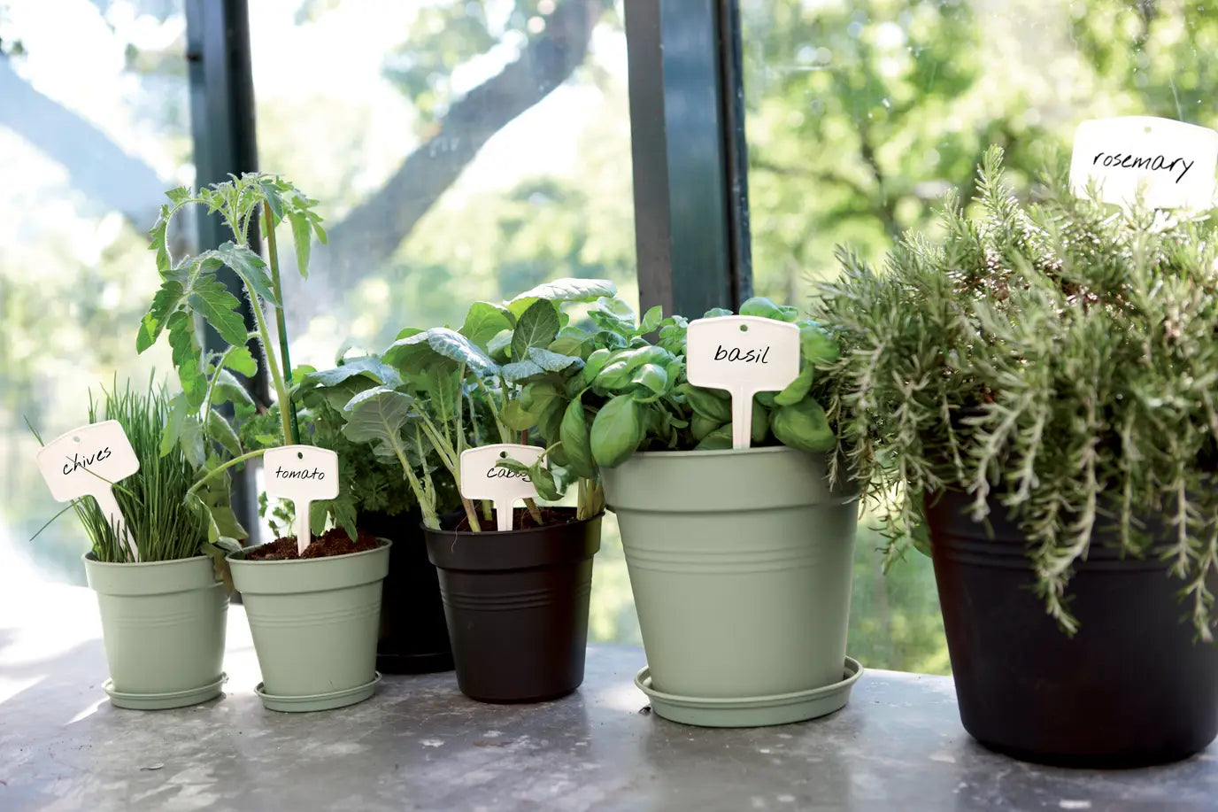 Green Basics Grow Pot