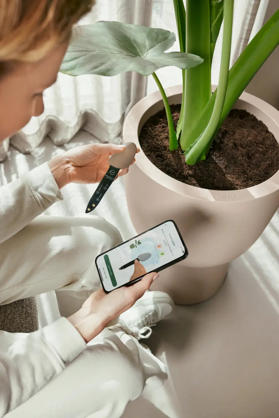 Smart Pebble | Plant Care
