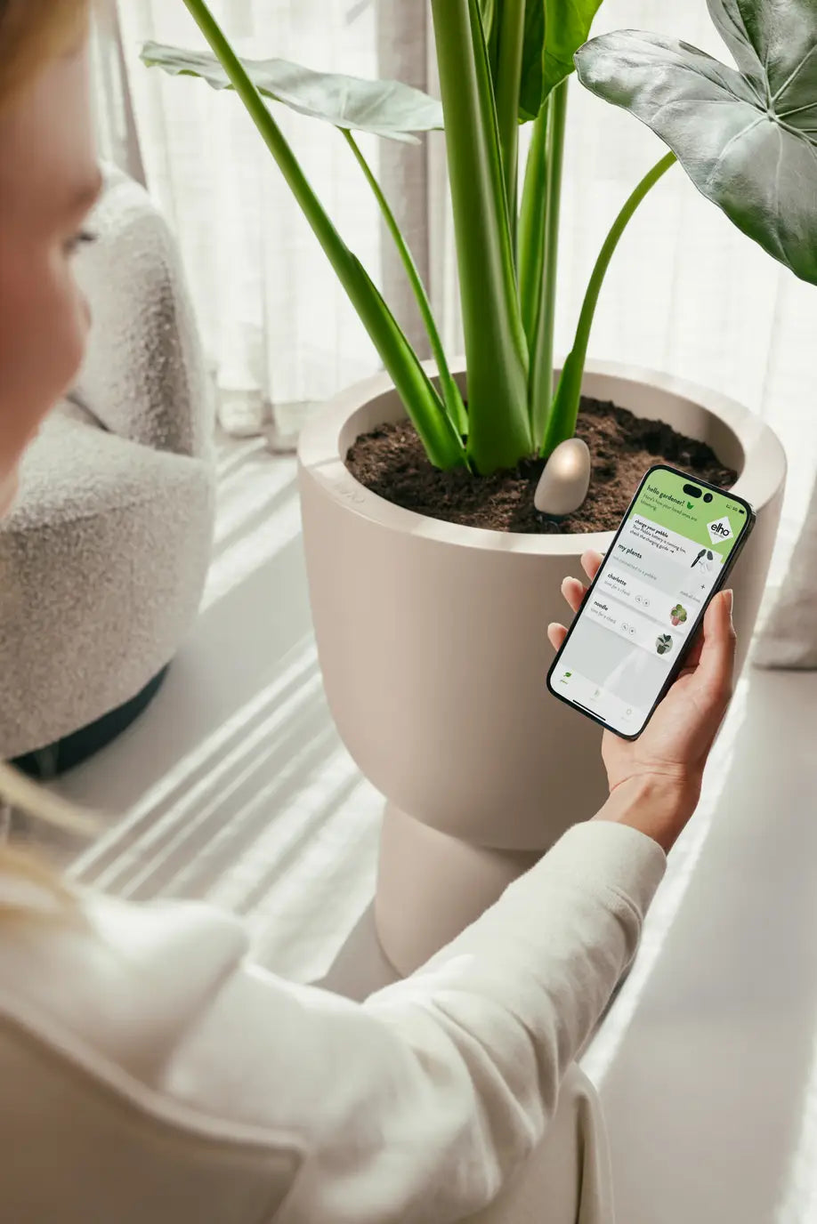 Smart Pebble | Plant Care