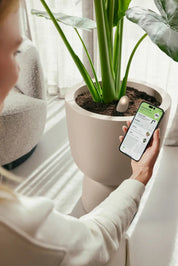 Smart Pebble | Plant Care