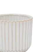 Ivyline Willow Planter | Ivory Ribbed Ceramic Plant Pot, H10.5cm D12cm