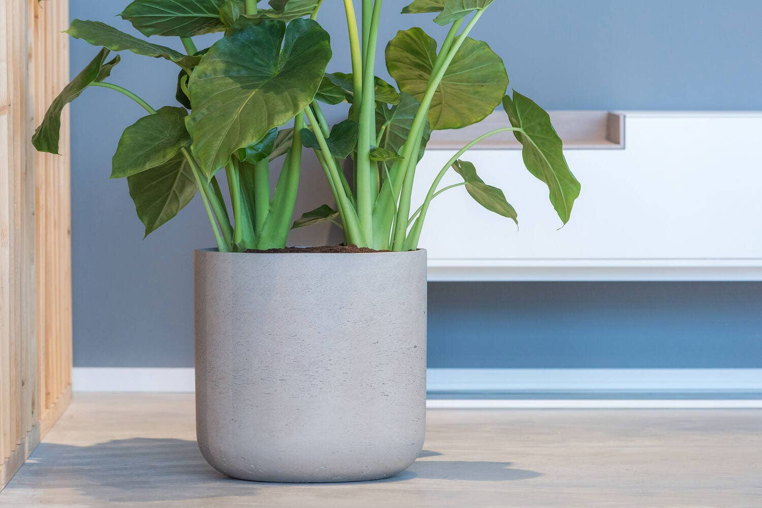 Planter Round Charlie S Grey Washed Ø15cm x H14,5cm
