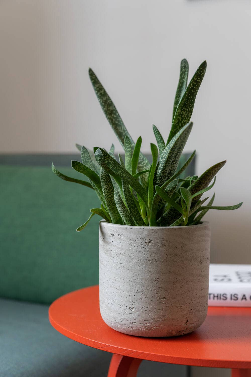 Planter Round Charlie S Grey Washed Ø15cm x H14,5cm