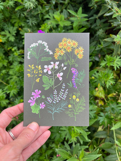 A Walk at Snape Maltings Greetings Card - WHS bundle of 6