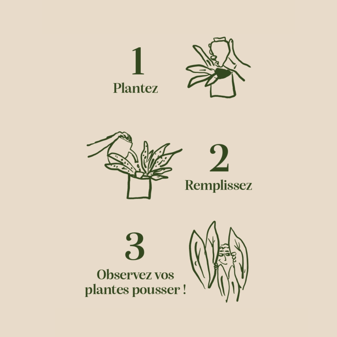 Olla Plant Waterer | Green and Ivory Stripes