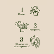 Olla Plant Waterer | Green and Ivory Stripes