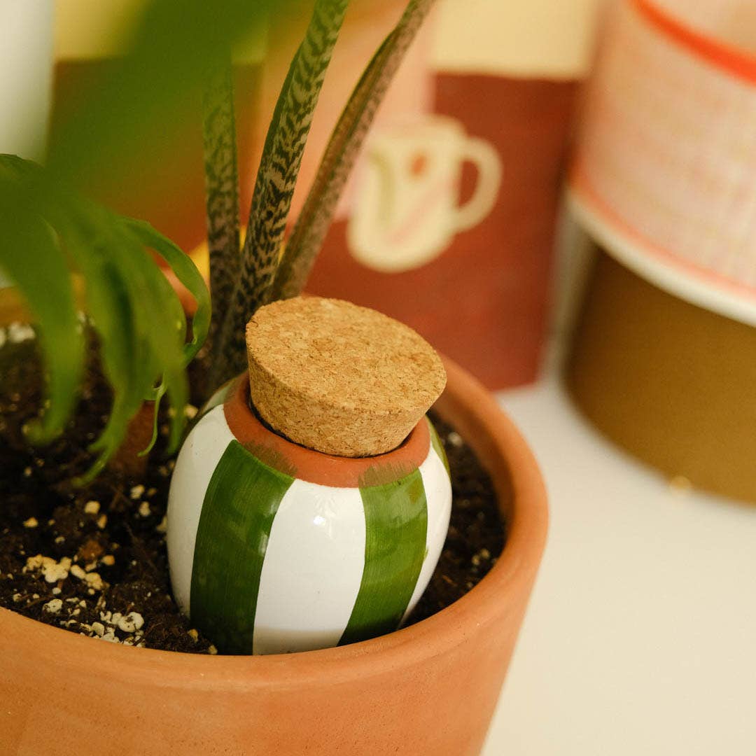 Olla Plant Waterer | Green and Ivory Stripes