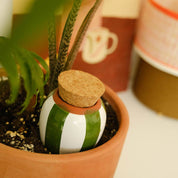Olla Plant Waterer | Green and Ivory Stripes
