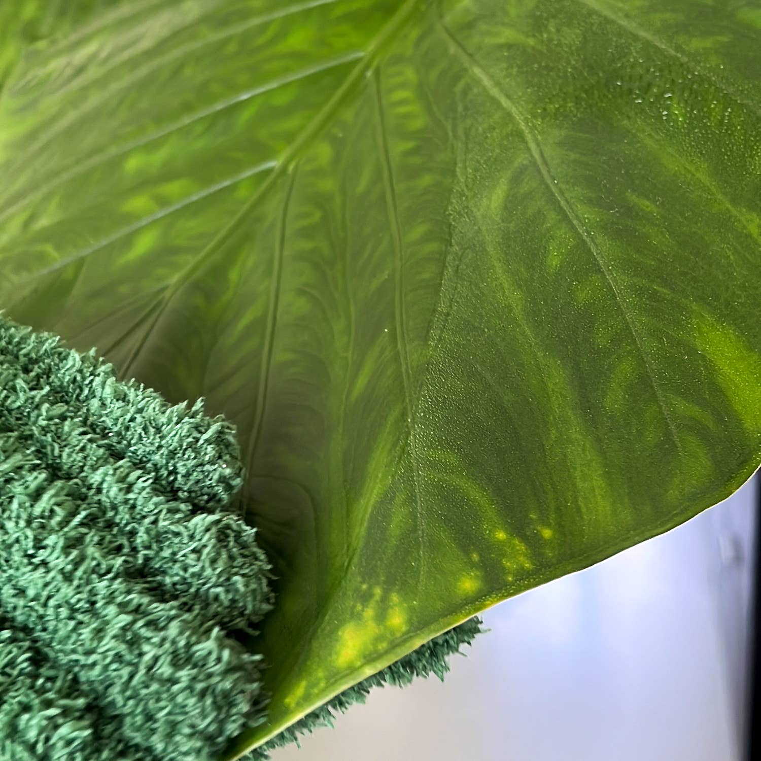 Leaf Love Gloves - Microfiber dusting gloves for plants