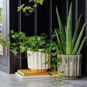 Lugano Scalloped Reactive Glaze Planter 16cm