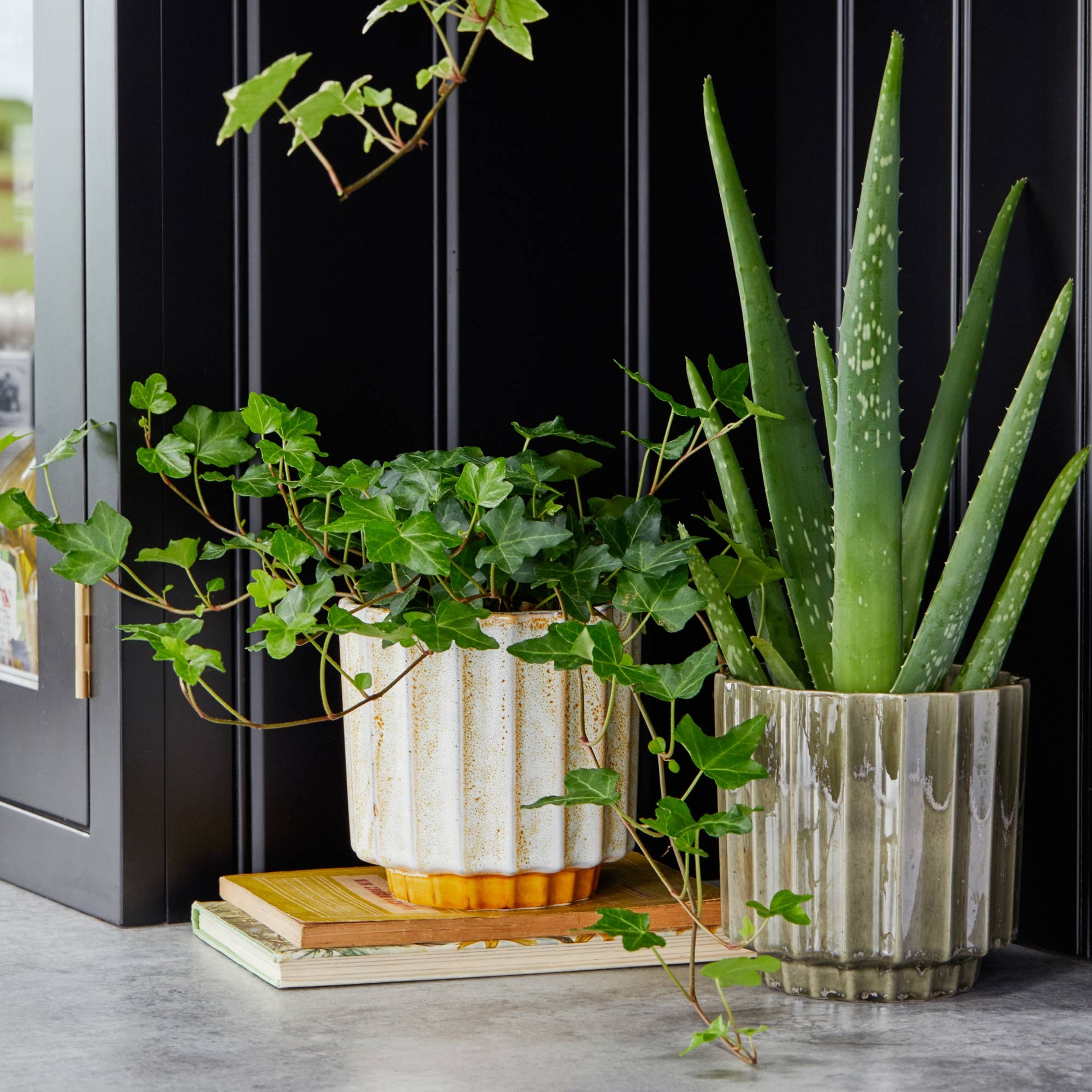 Lugano Scalloped Reactive Glaze Planter 16cm