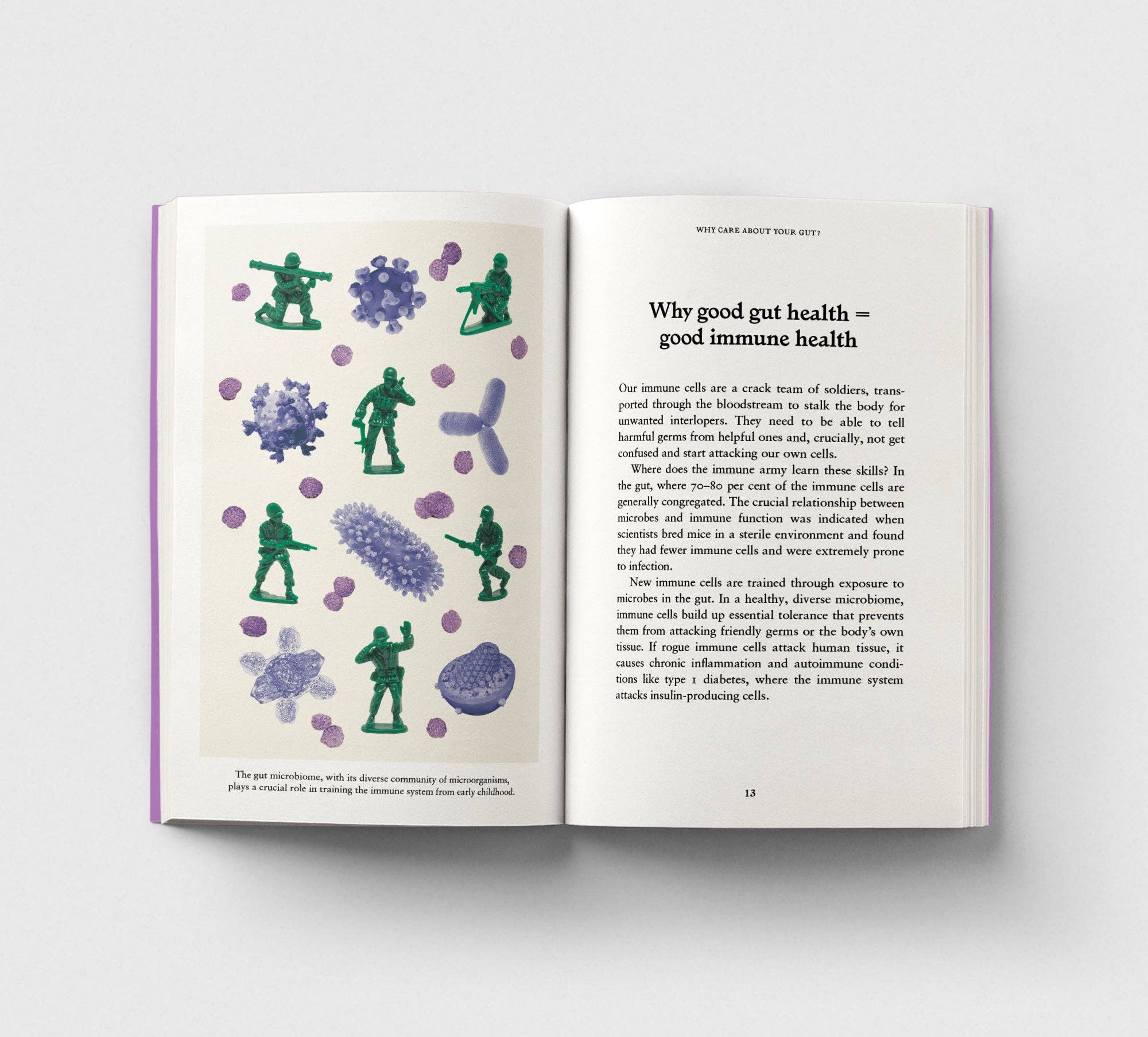 The Gut, A Pocket Primer