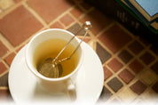 Fox Run Mesh Spring Tea Infuser, 2" x 1.5" x 6.25"