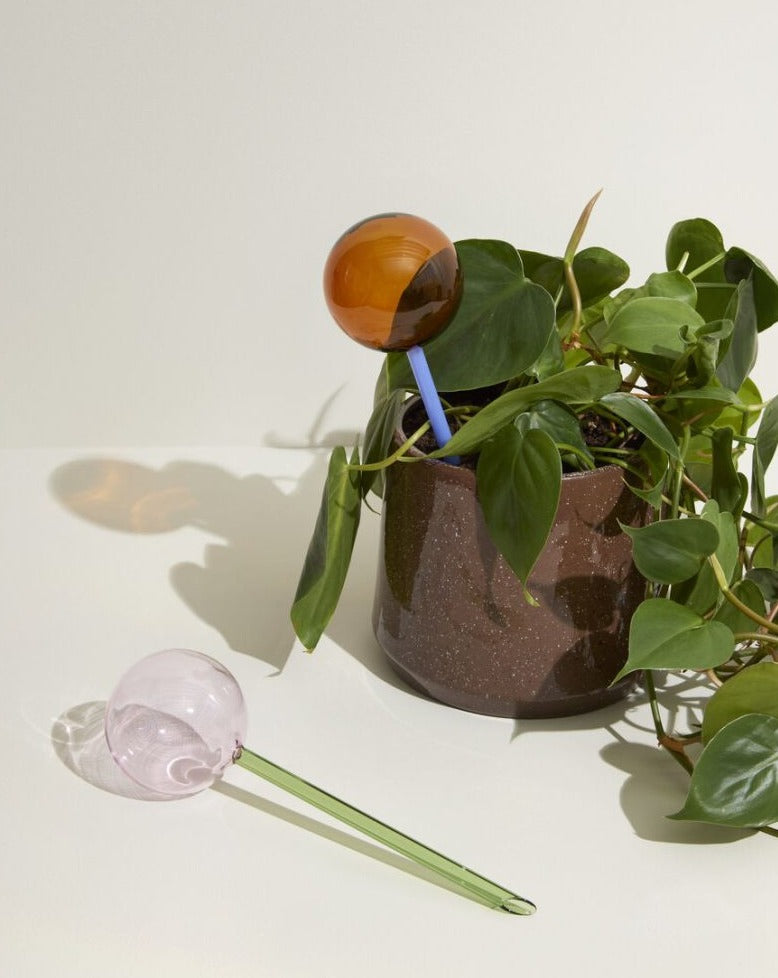 Flora Aqua Self-Watering Globe for Houseplants in Amber/Blue