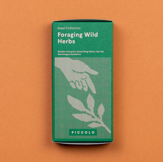 Foraging Wild Herbs Seed Collection