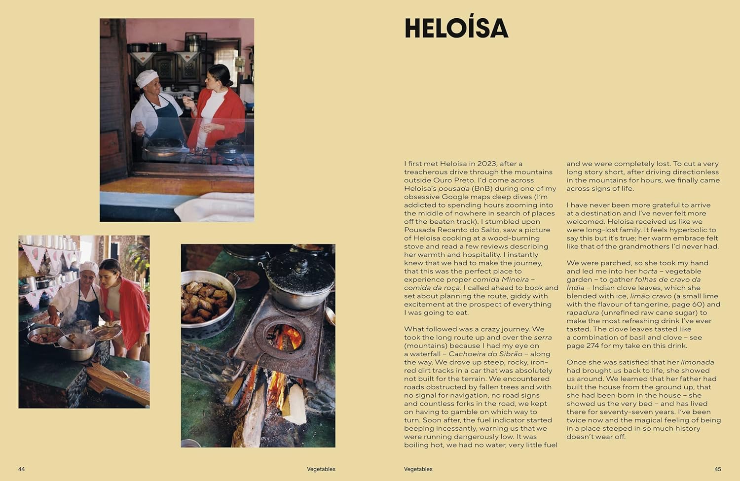 FUSÃO: Untraditional recipes inspired by Brasil