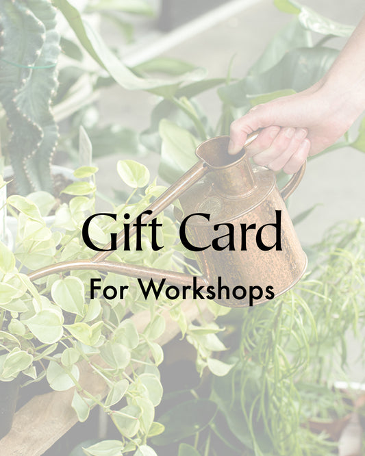 Workshop Gift Card