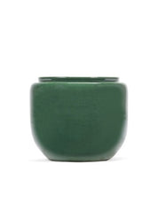 Costa Plant Pot in Green | Extra Small