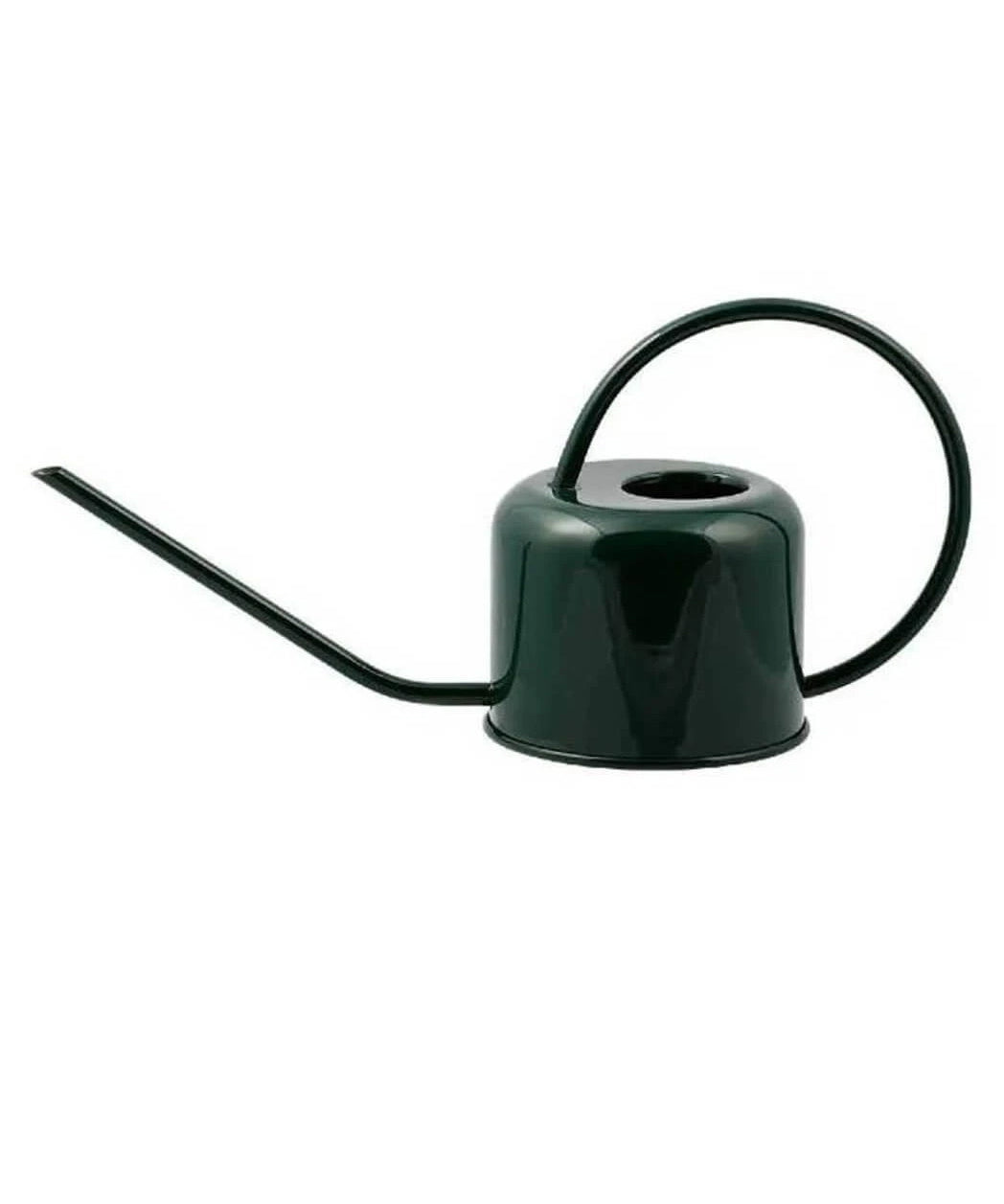 green-plint-wateringcan.jpg