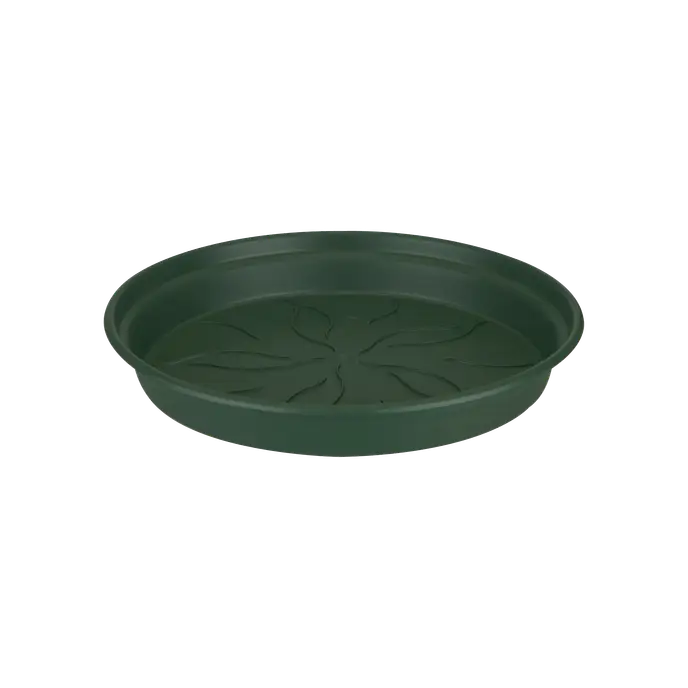 Green Basics Saucer | Leaf Green