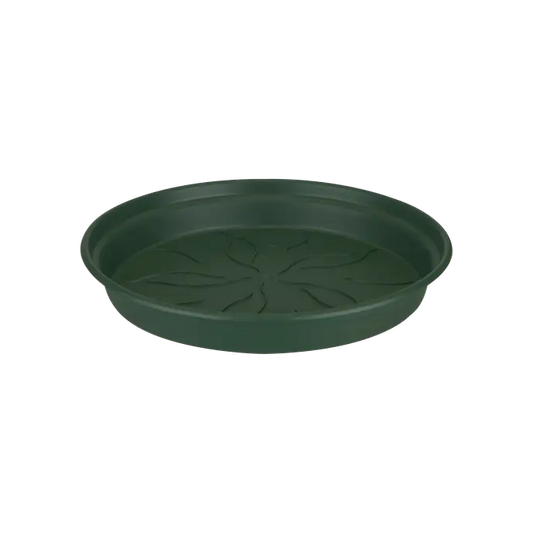 Green Basics Saucer | Leaf Green