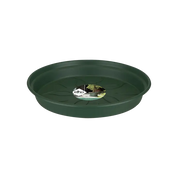 Green Basics Saucer | Leaf Green