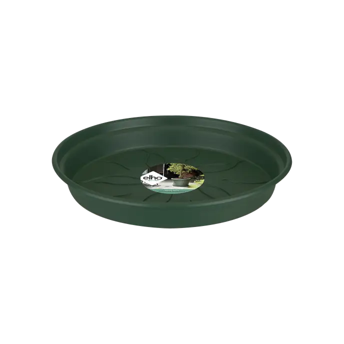 Green Basics Saucer | Leaf Green