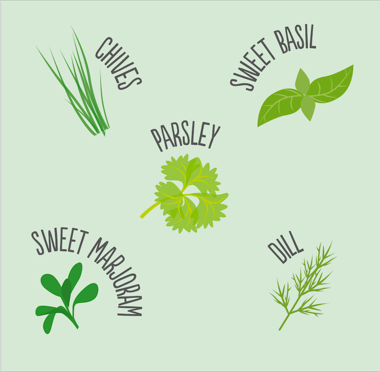 Herb Mix Seed Tin