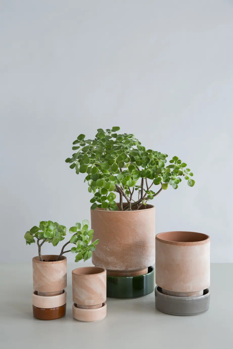 Saucer Glazed Finish for Hoff Pot Ø18cm