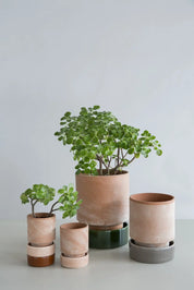 Saucer Glazed Finish for Hoff Pot Ø18cm