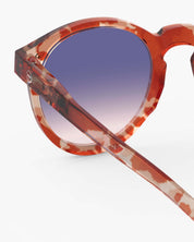 Sunglasses #M ‘Wild Hooves’