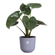 Jazz Round Pot in Recycled Plastic