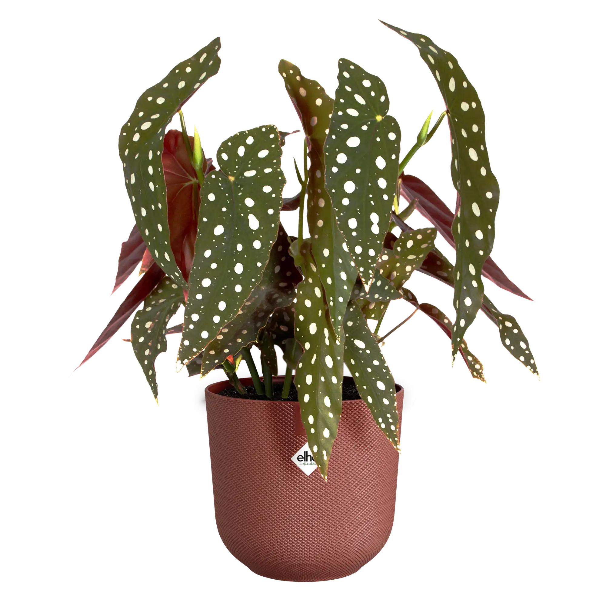 Jazz Round Pot in Recycled Plastic