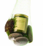 Soy Candle | Mossy Stone (Limited Edition)