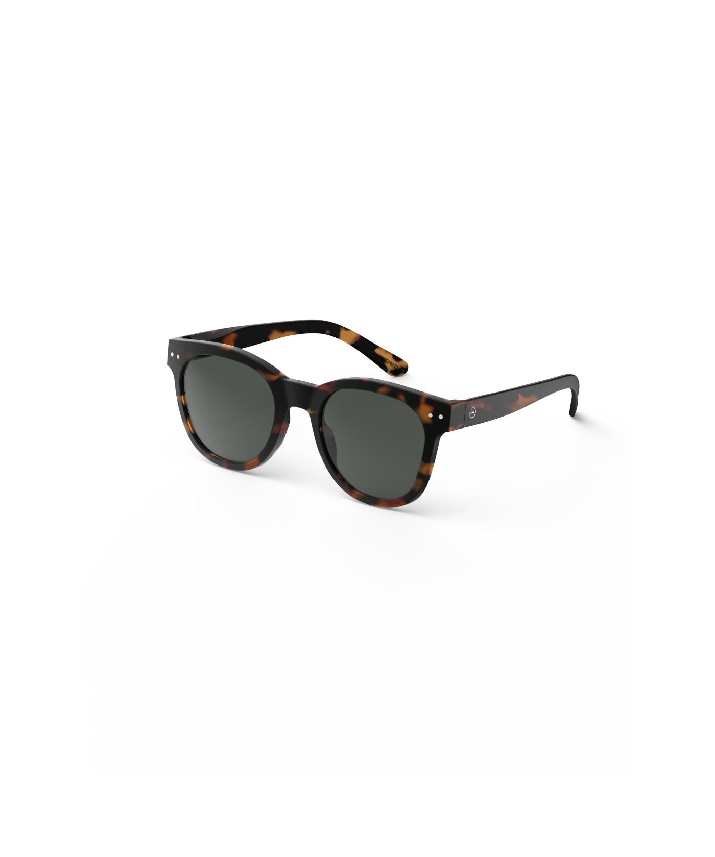 n-sun-tortoise-sunglasses_1.png