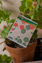 Nasturtium Matches | Square Safety Matches