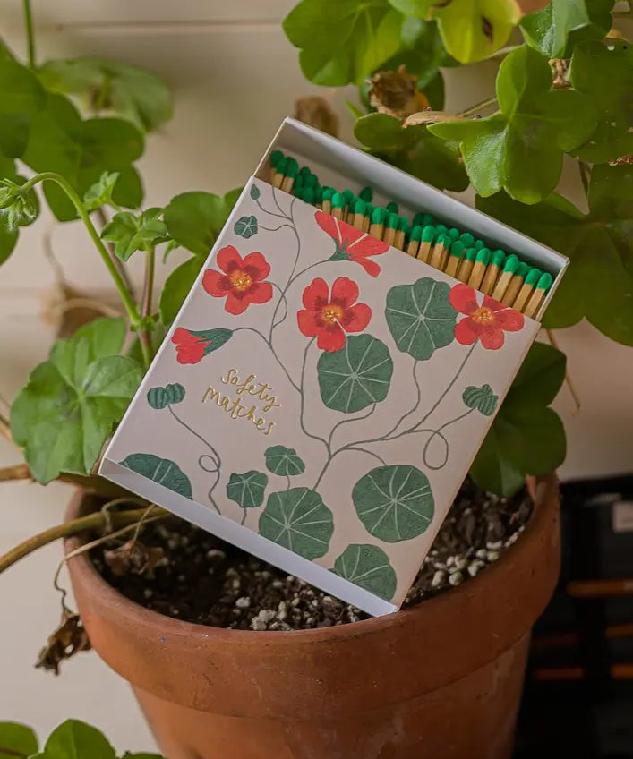 nasturtium-matches.webp