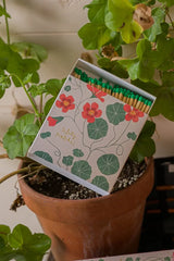 Nasturtium Matches | Square Safety Matches
