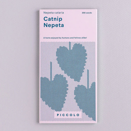 Catnip Nepata